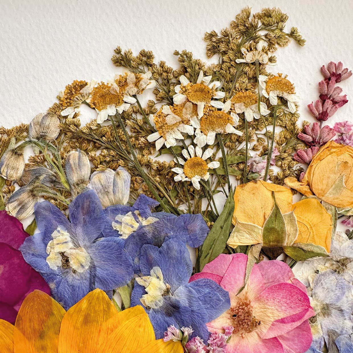 Disponíveis pronta entrega