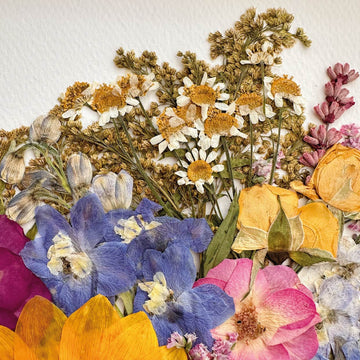 Disponíveis pronta entrega