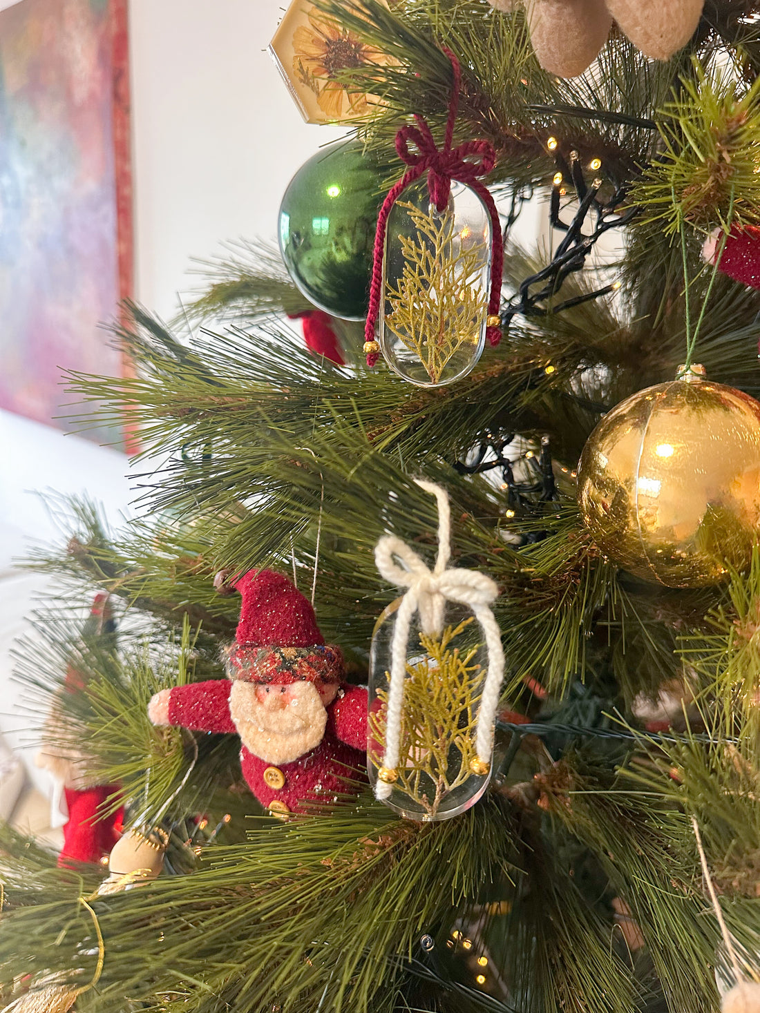 Enfeites botânicos de Natal