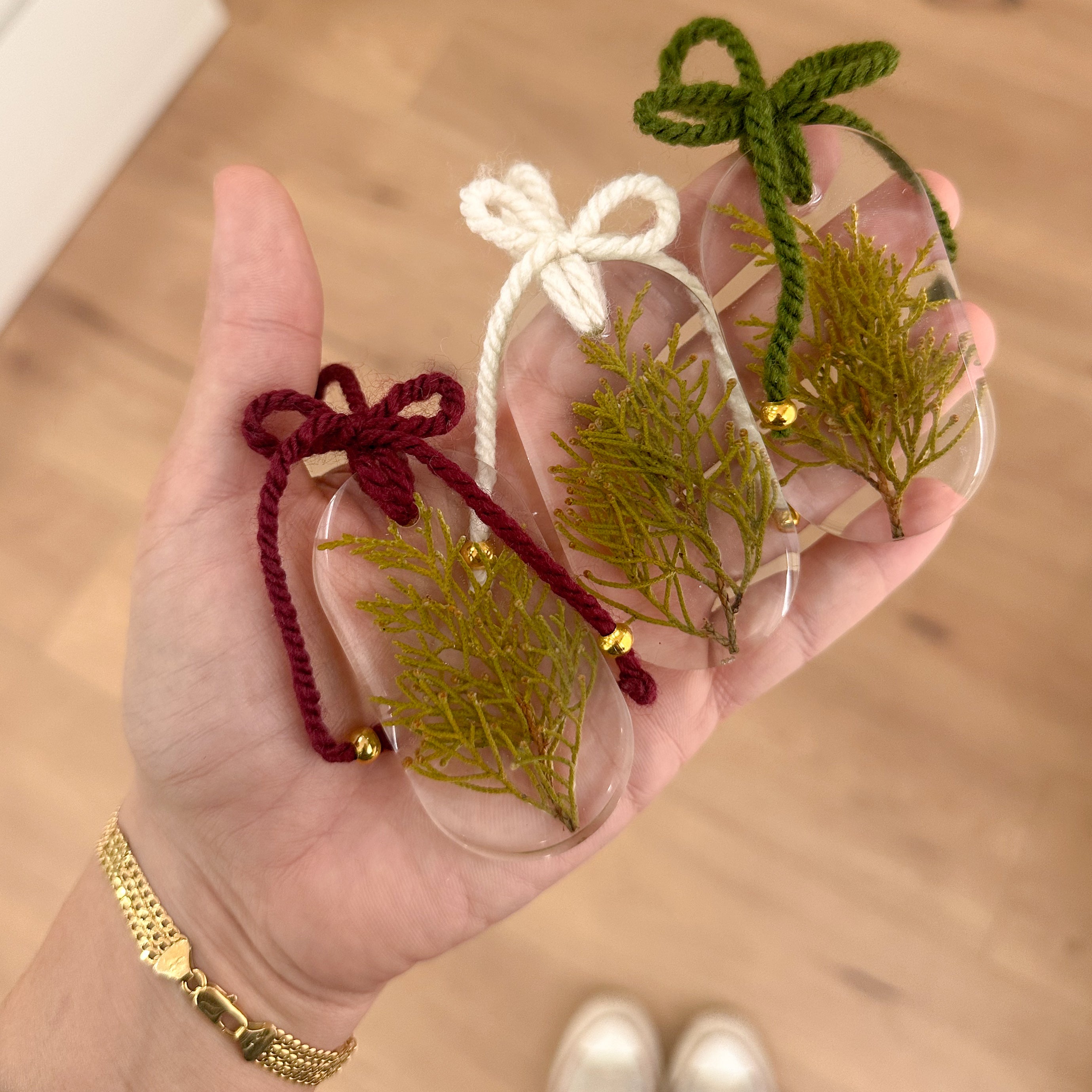 Enfeites botânicos de Natal