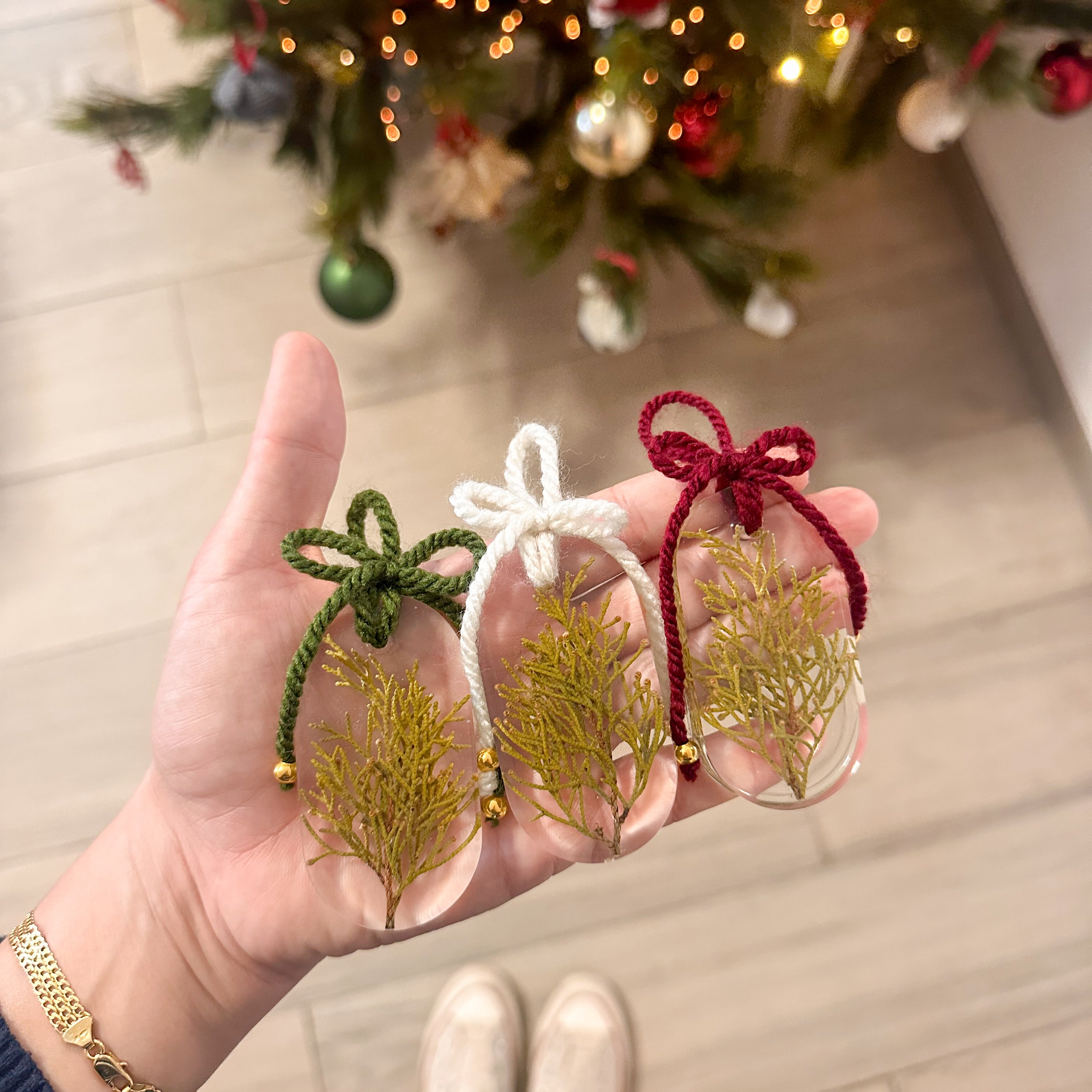 Enfeites botânicos de Natal