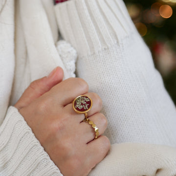 Anel renda da rainha - vinho