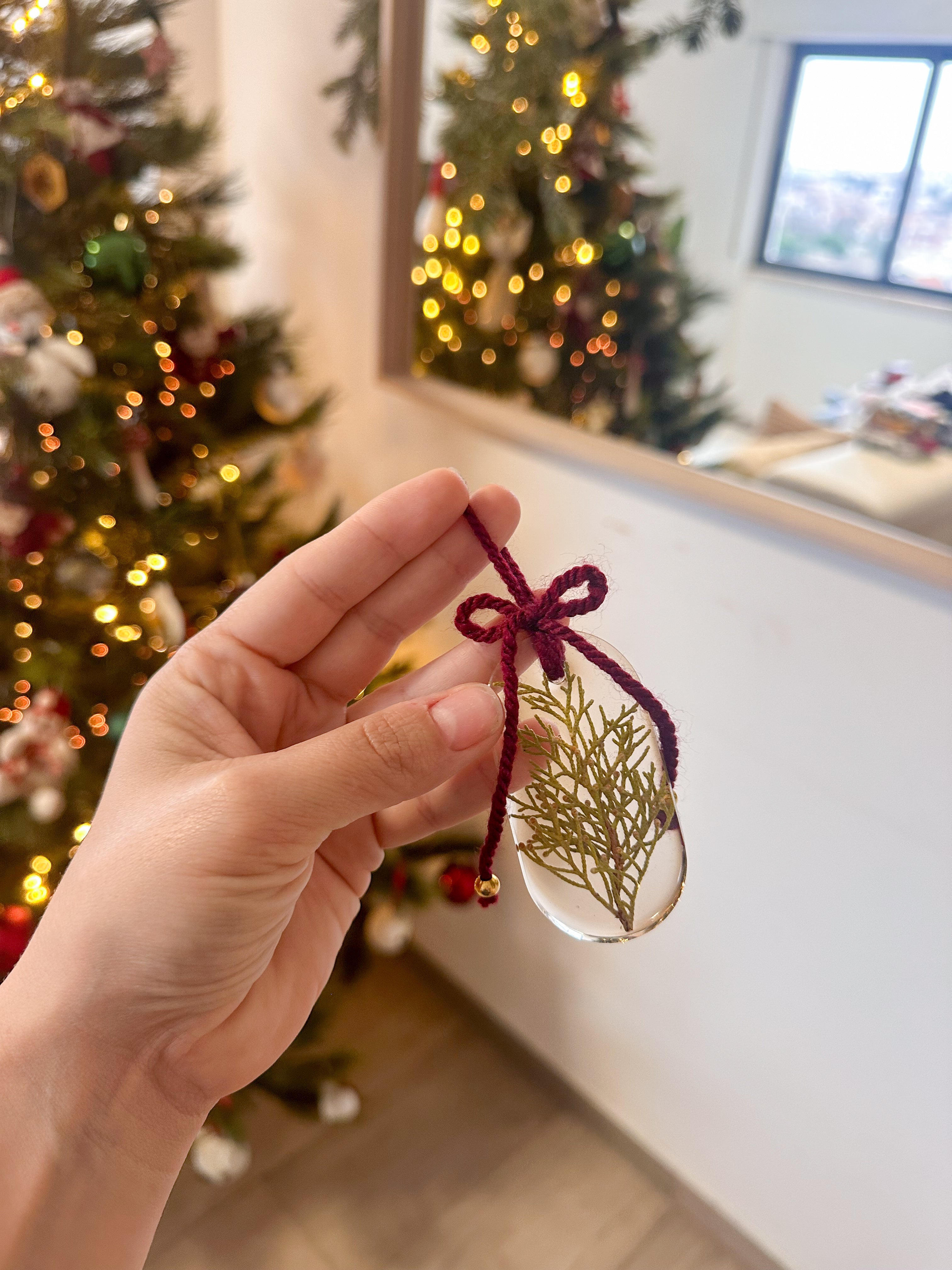 Enfeites botânicos de Natal