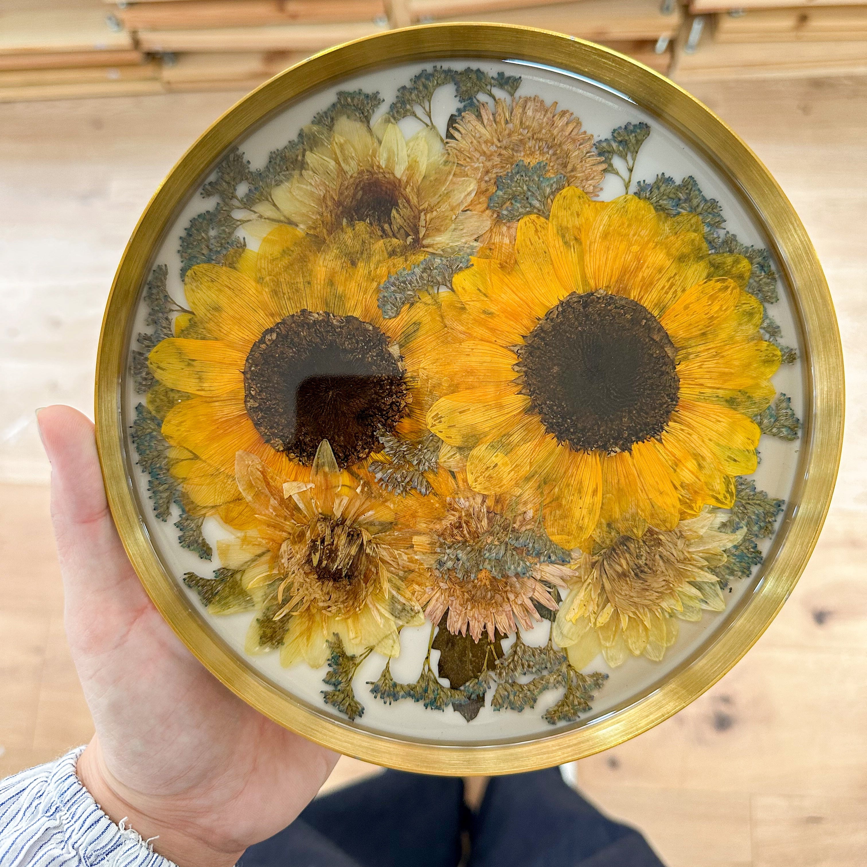 Preservação Bandeja 22cm